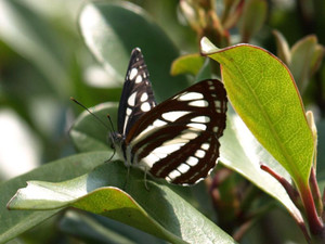 P4231014